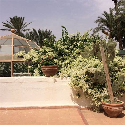CASA GYLA (Marrakech) - Lodge Reviews & Photos - Tripadvisor