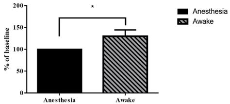 Assessment of Brain Functional Activity Using a Miniaturized Head ...
