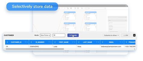 Data Virtualization Tools 的图像结果
