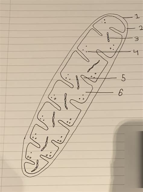 Human Energy 的图像结果