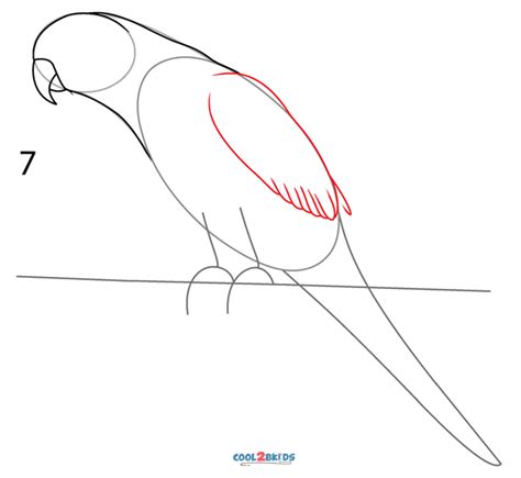 Image result for How Do You Draw a Parrot