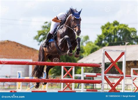 Young Male Horse Rider on Show Jumping Competition Stock Photo - Image ...