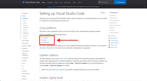 Image result for Freecodecamp Code Editor