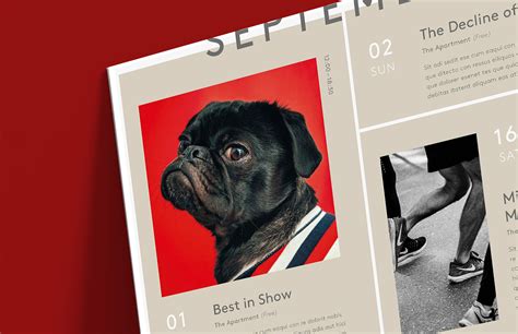 Poster Collection 的图像结果