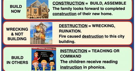 Root Struct 的图像结果