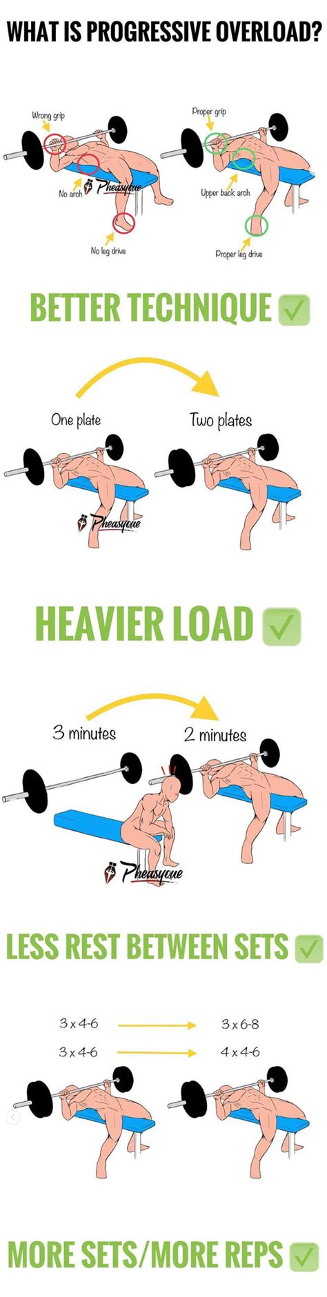 Image result for Progressive Overload Progress Pics