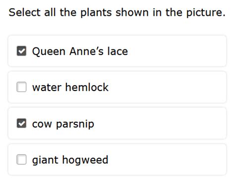 How Does Select Multiple Look Like 的图像结果