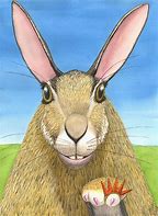 Image result for Cottontail Rabbit Drawing