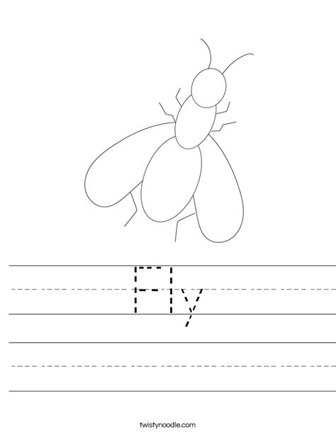 Bird Fly Worksheet 的图像结果