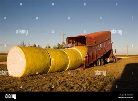 Image result for Loading Cotton Modules