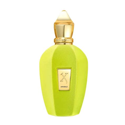 Xerjoff Amabile Eau De Parfum 100ml For Unisex – Scentsation India