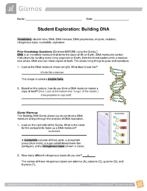 Building DNA Gizmo Answer Key - 2018 Student Exploration Guide - Studocu