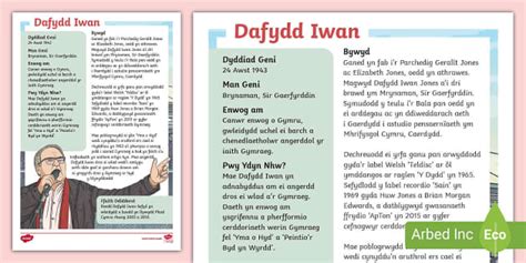 Ffeil Ffeithiau Dafydd Iwan (teacher made) - Twinkl
