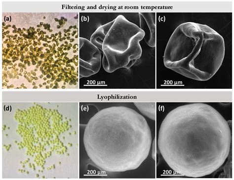 Trojan pH-Sensitive Polymer Particles Produced in a Continuous-Flow ...