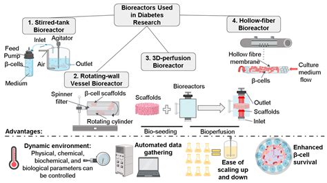 New Frontiers in Three-Dimensional Culture Platforms to Improve ...
