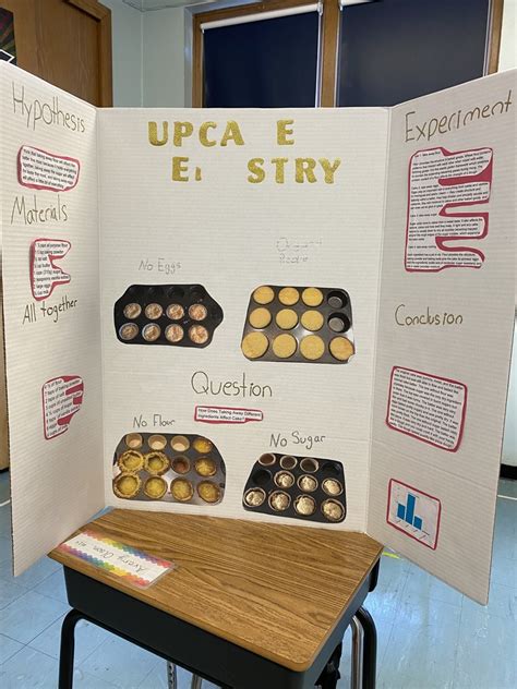 Science Fair Experiments 的图像结果