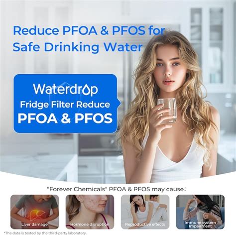 Waterdrop Refrigerator Water Filter Whole House 6-Months Replacement ...