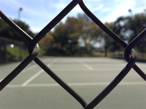 Image result for iPhone 5 Camera Tutorial