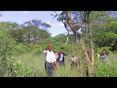 Image result for The Python Queens All Episodes