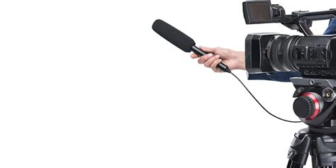 Faces of Elsevier - Bahar Mehmani, Reviewer Experience Lead