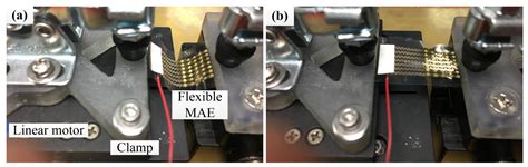 Fabrication of Flexible Microneedle Array Electrodes for Wearable Bio ...