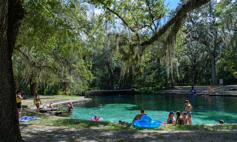 Photo & Video Gallery - Florida Black Bear Scenic Byway