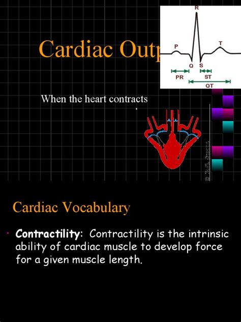 Animation Cardiac Output 的图像结果