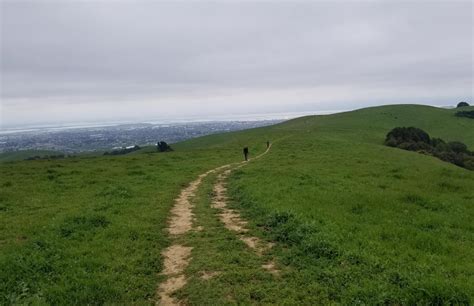 Vargas Plateau Regional Park - tripswithvanda