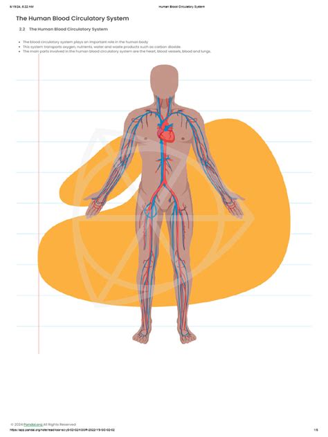 Circulate 的图像结果