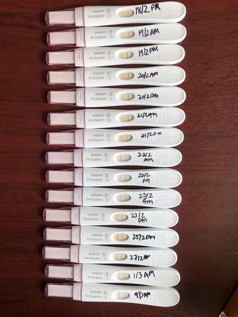 FRER progression 14 DPO - 33 DPO. Posted for science - tests from 3 ...