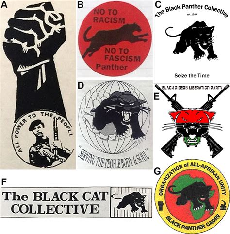 “There Is No New Black Panther Party”: The Panther-Like Formations and ...