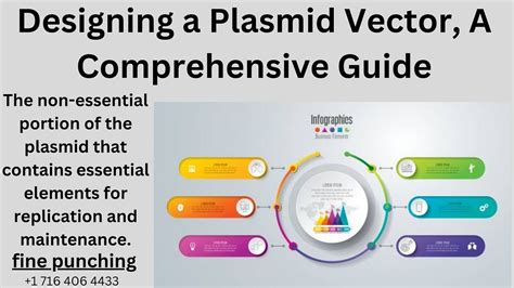 Plasmid Vector 的图像结果