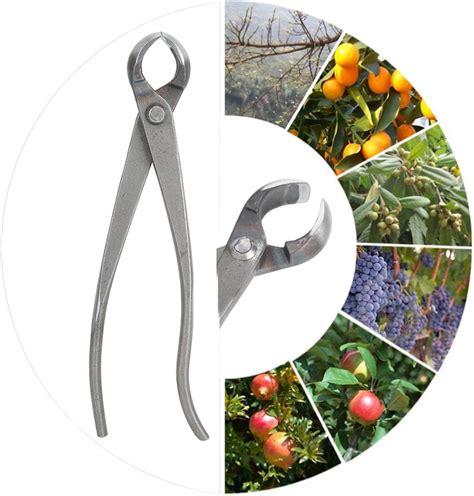 Buy Bonsai Concave Branch Cutter, Multifunction Carbon Steel Garden ...