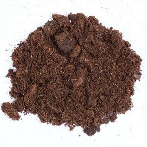 DIOART COW DUN MANURE-13015 Potting Mixture Price in India - Buy DIOART ...