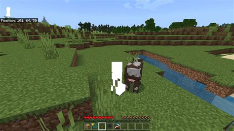 Image result for Minecraft Java Morph Mod 1.18
