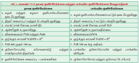 பாக்டீரியங்களின் ஒளிச்சேர்க்கை | Photosynthesis in bacteria | in Tamil
