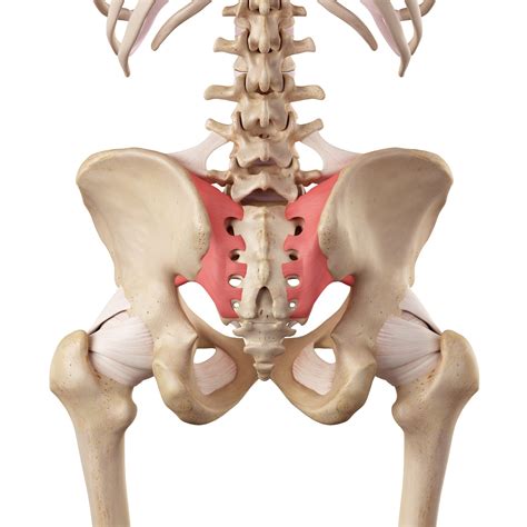 Sacrum Pain Symptoms Sacroiliac Joint Syndrome Redlands, Loma Linda,