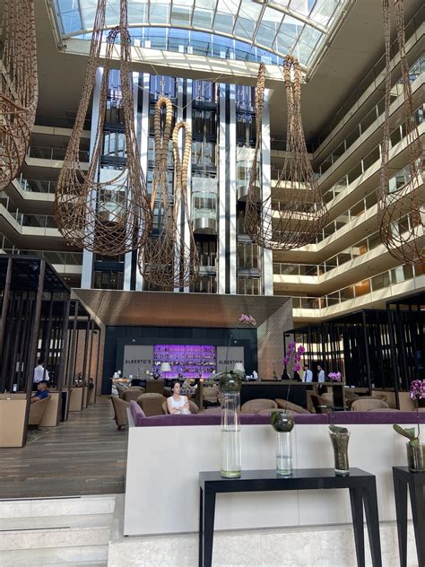 Bárbara Q. on LinkedIn: One more big step, I just arrived at the Hilton ...