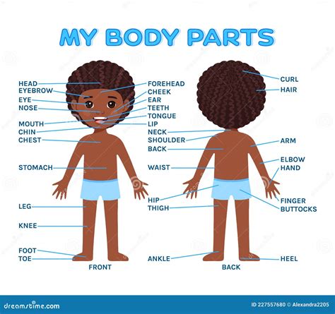 Cartoon Front Back Left 的图像结果