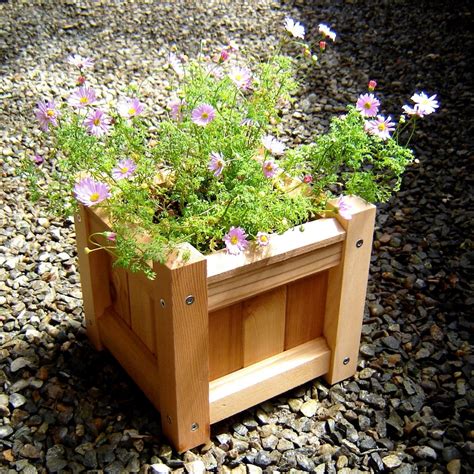 Small Cedar Planter Boxes Display