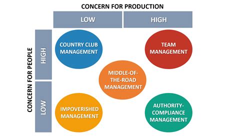 Blake and Mouton Managerial Grid EXPLAINED with EXAMPLES | B2U