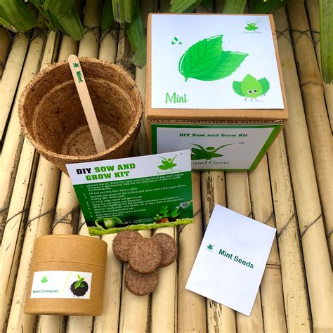 DIY Gardening Herb Kits | Mint + Coriander + Italian Basil – Sow and Grow®