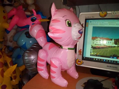 Image result for Inflatable Custard Cat