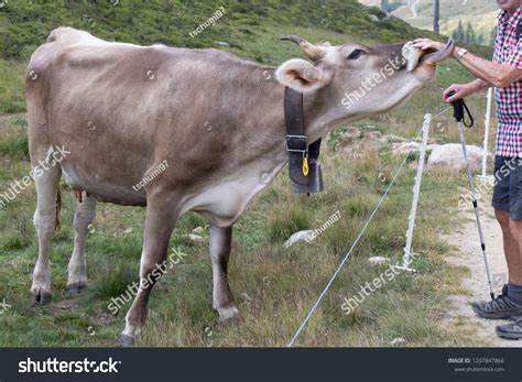Image result for Anomaly Detection Using Machine Learning Techniques in Wireless Sensor Network