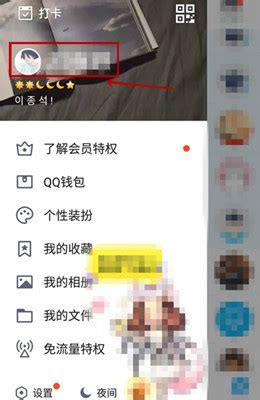 【自动充值】官方QQ会员月卡-小皮权益
