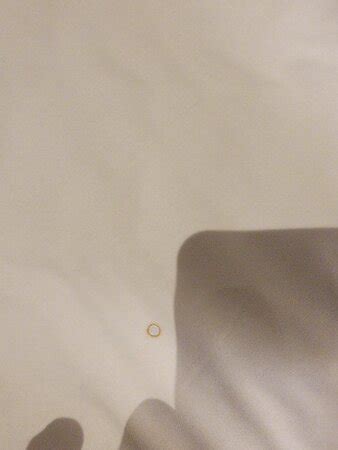 PREMIER INN DUBLIN CITY CENTRE THE LIBERTIES HOTEL - Hotel Reviews ...