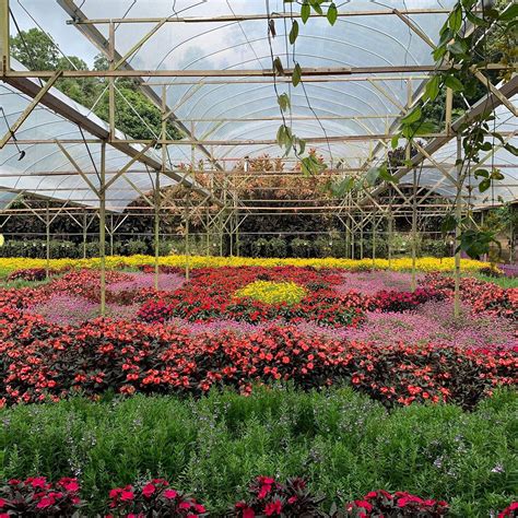 GENTING STRAWBERRY LEISURE FARM (2026) All You Need to Know BEFORE You ...