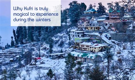 Kufri in Winters - Why Kufri is Truly Magical to Experience During Winters
