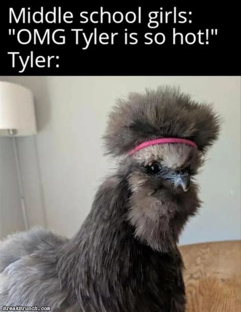 Break.com 的图像结果