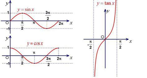tan曲线图,tan函数图像,身高曲线图_大山谷图库